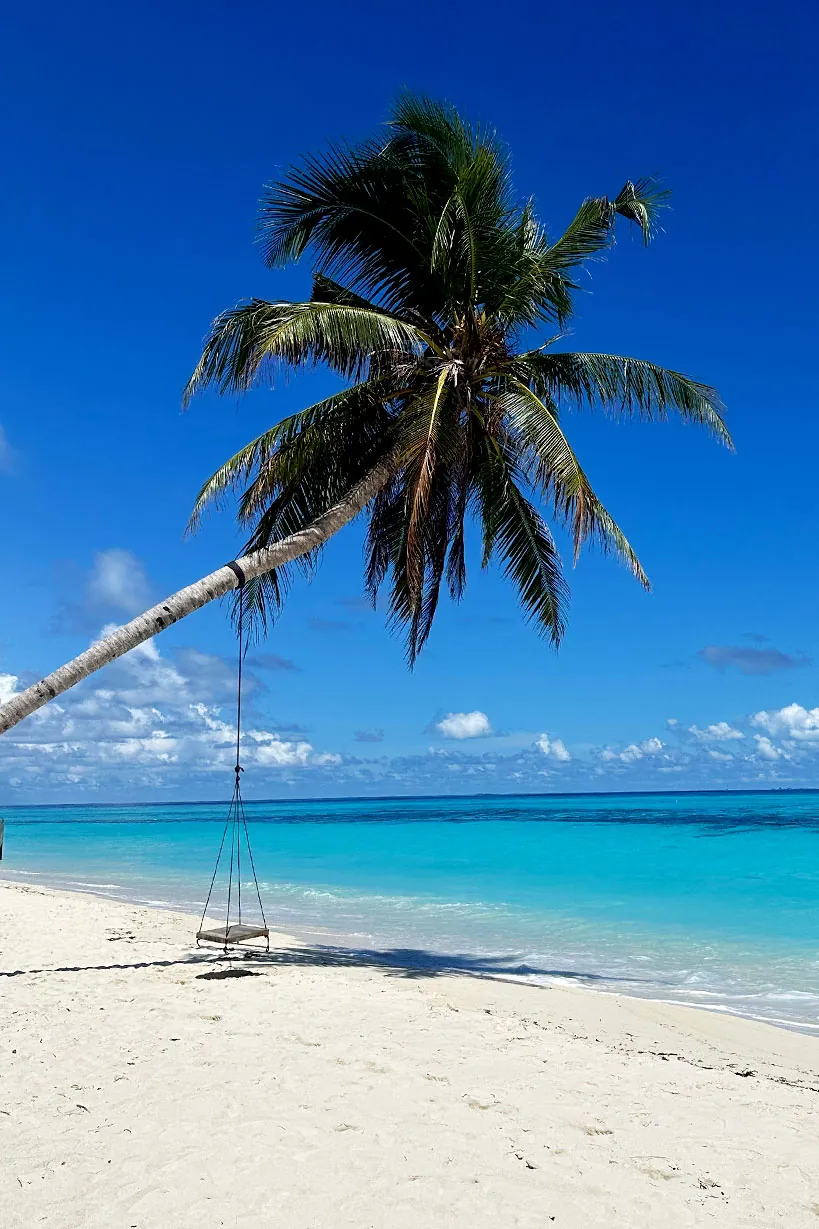 Palm tree and swing on a white sand beach on Thoddoo, Maldives