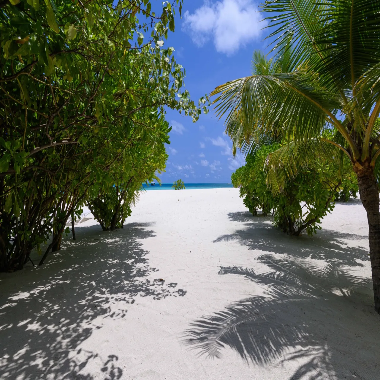 Beach at Diamonds Thudufushi on Thudufushi, Maldives