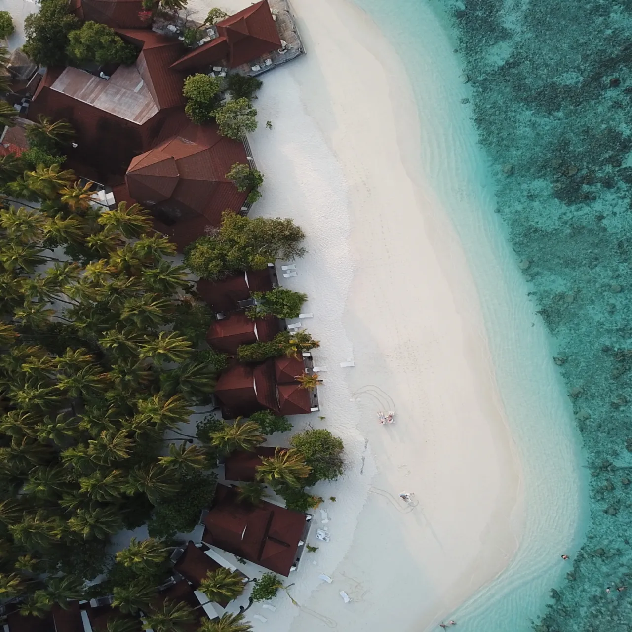 Room Sandbank Junior Suite at Diamonds Thudufushi on Thudufushi, Maldives