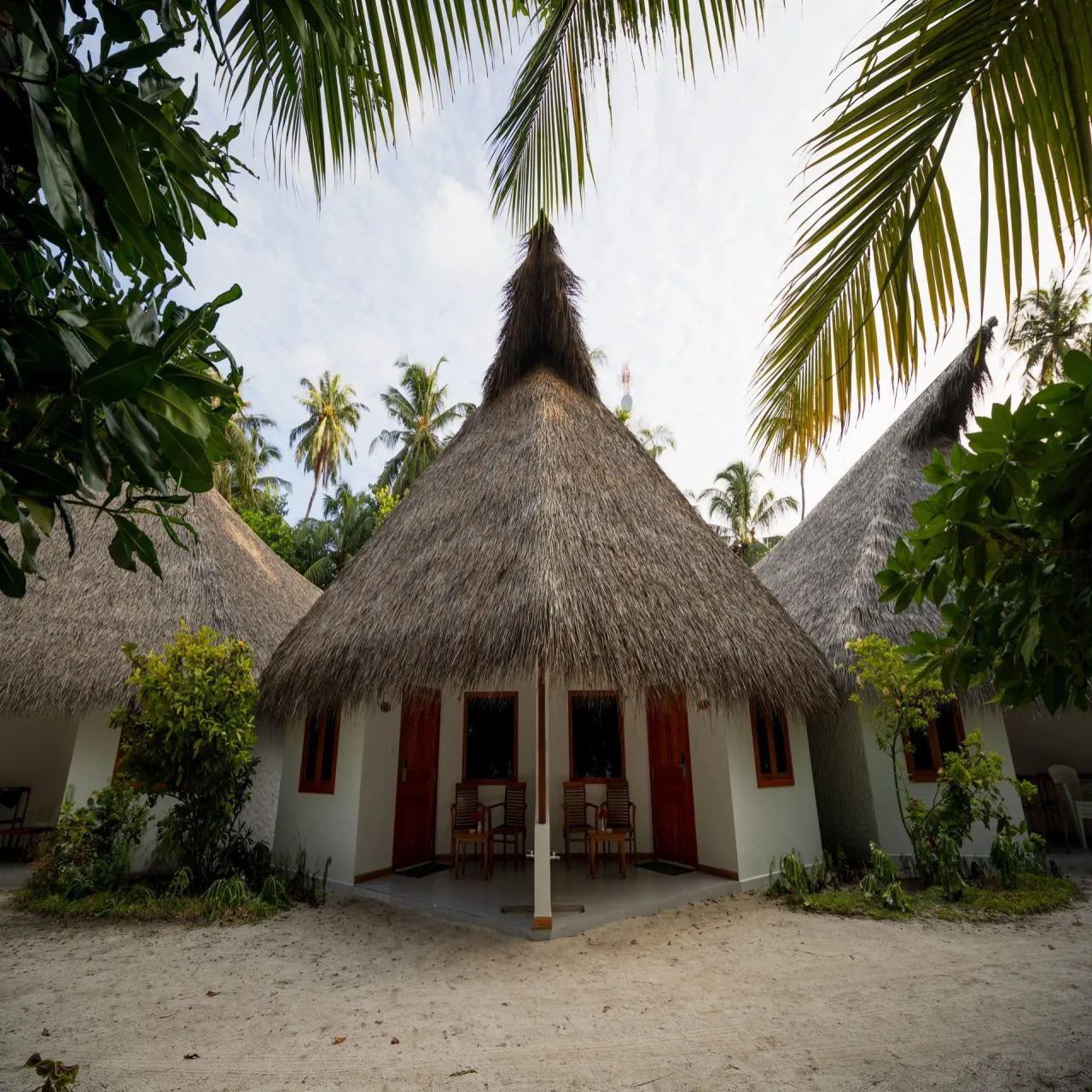 Deluxe Superior at Fihalhohi Island Resort on Fihalhohi, Maldives