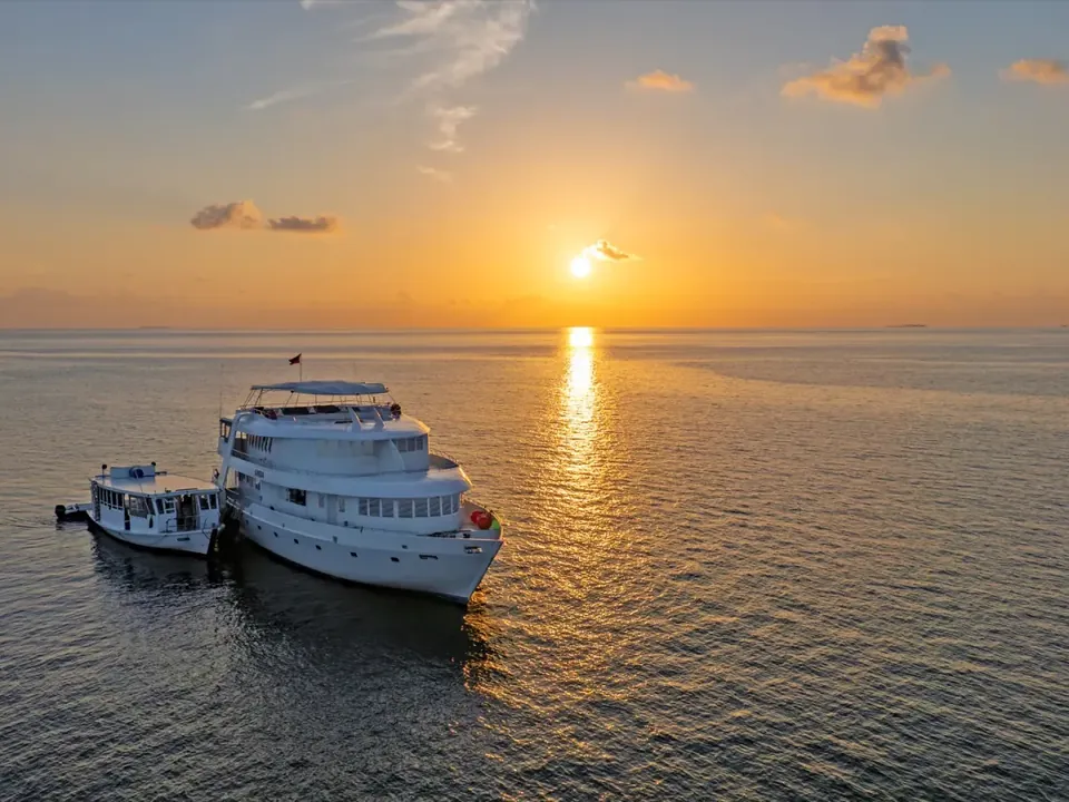 AMBA Maldives dive liveaboard
