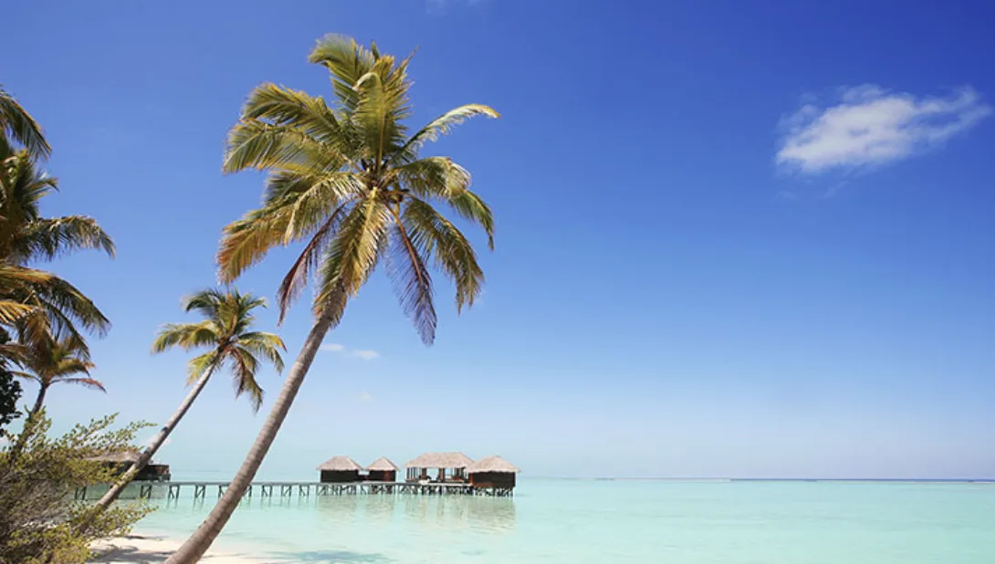 Best Time to Visit the Maldives - Month-by-Month Travel Guide featured image